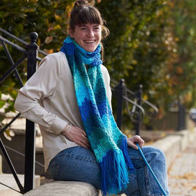Crochet Scarf made in Red Heart Super Saver O'Go Yarn