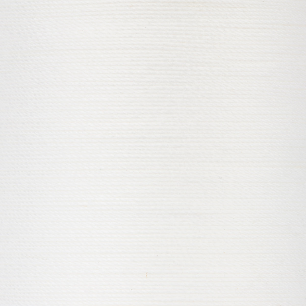 Winter White