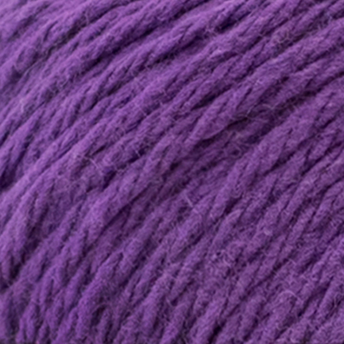 Black Currant