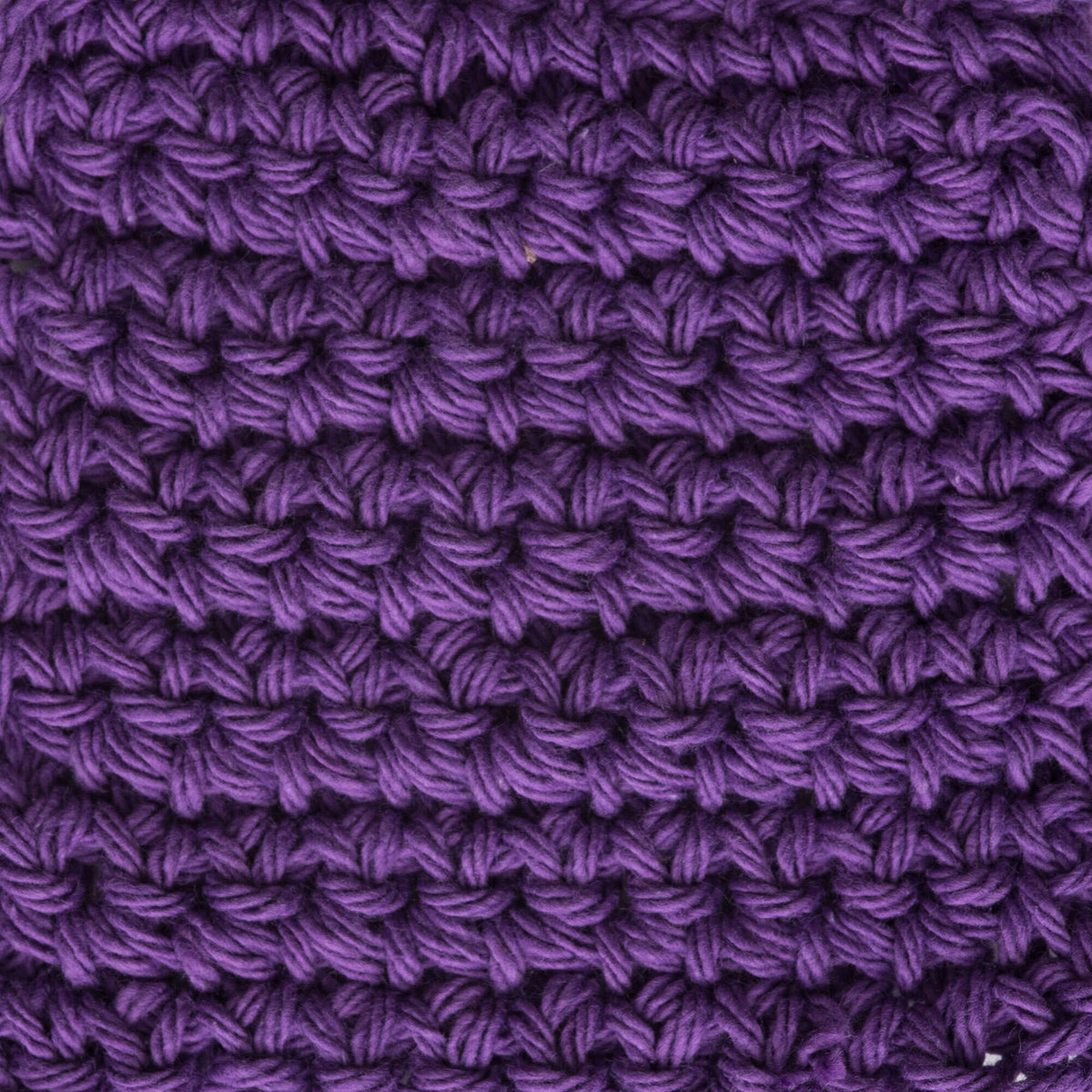 Black Currant