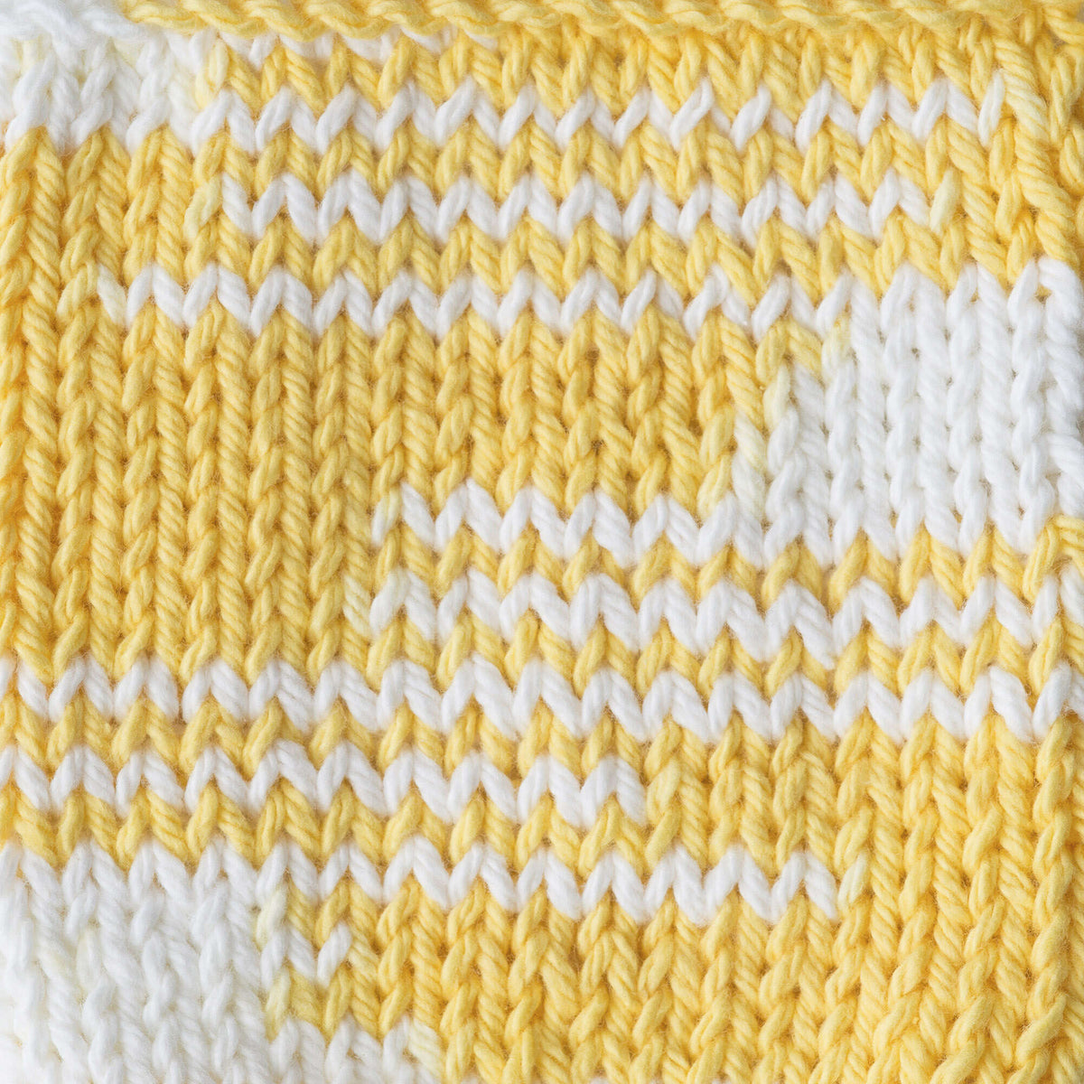 Daisy Ombre
