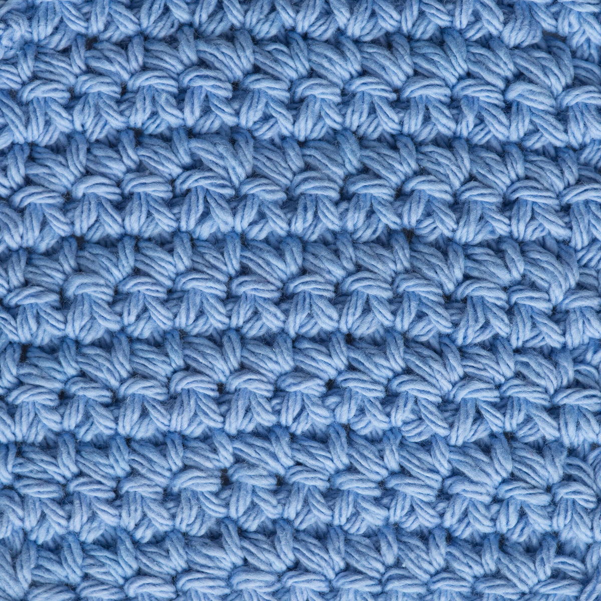 Cornflower