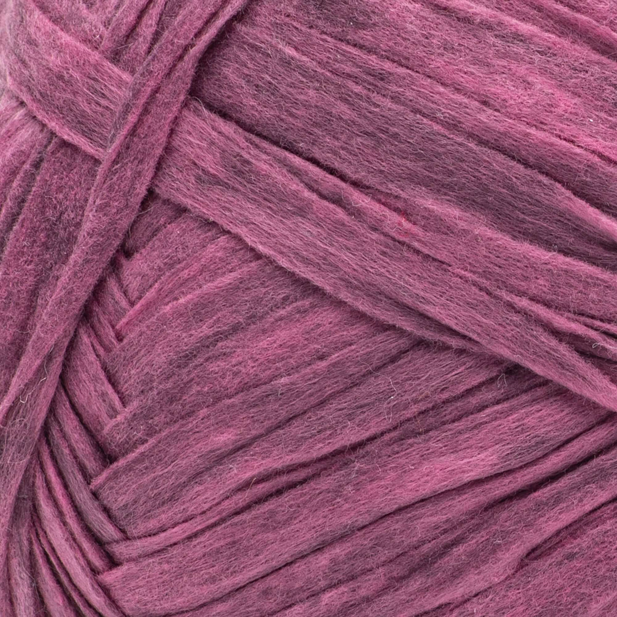 Beet