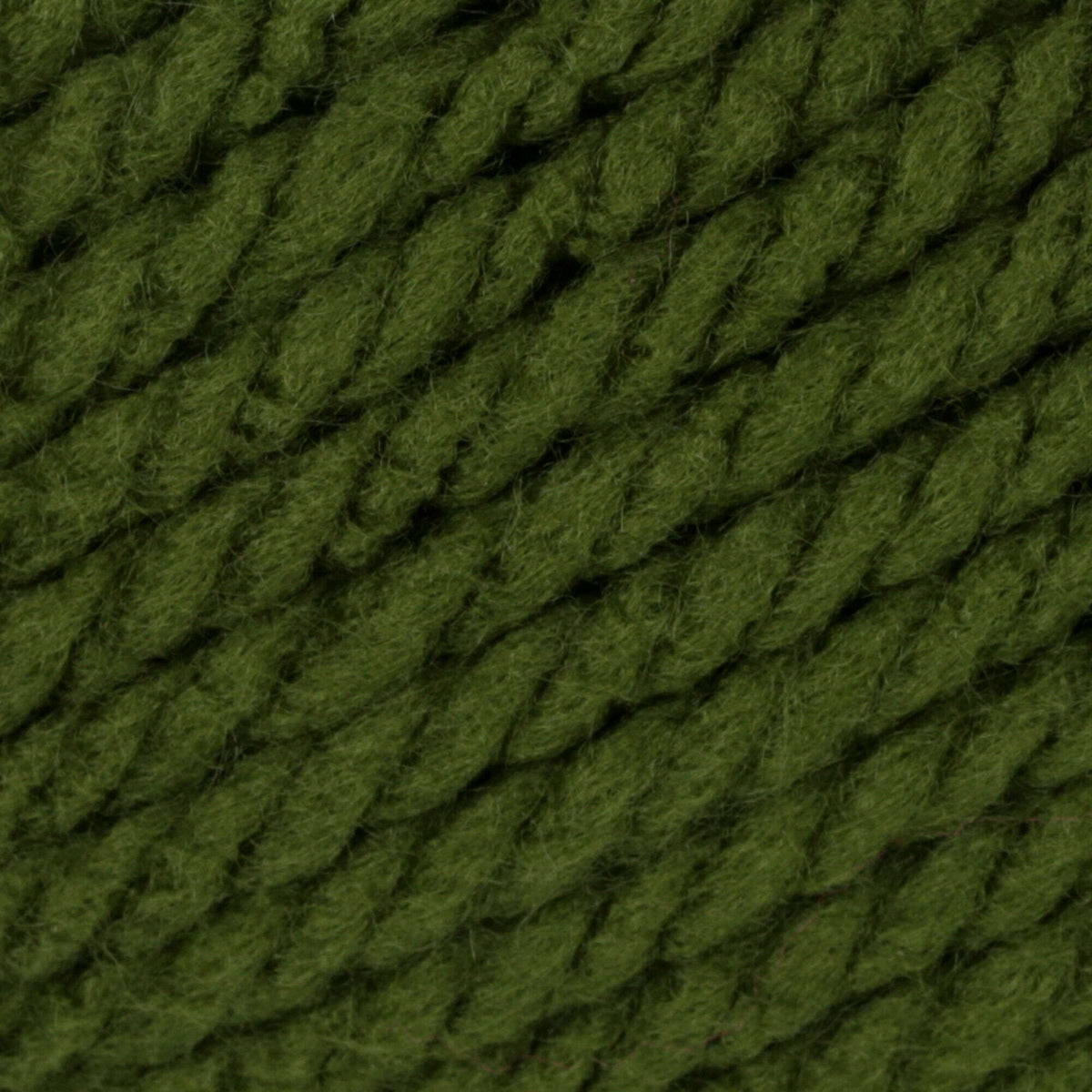 Eucalyptus