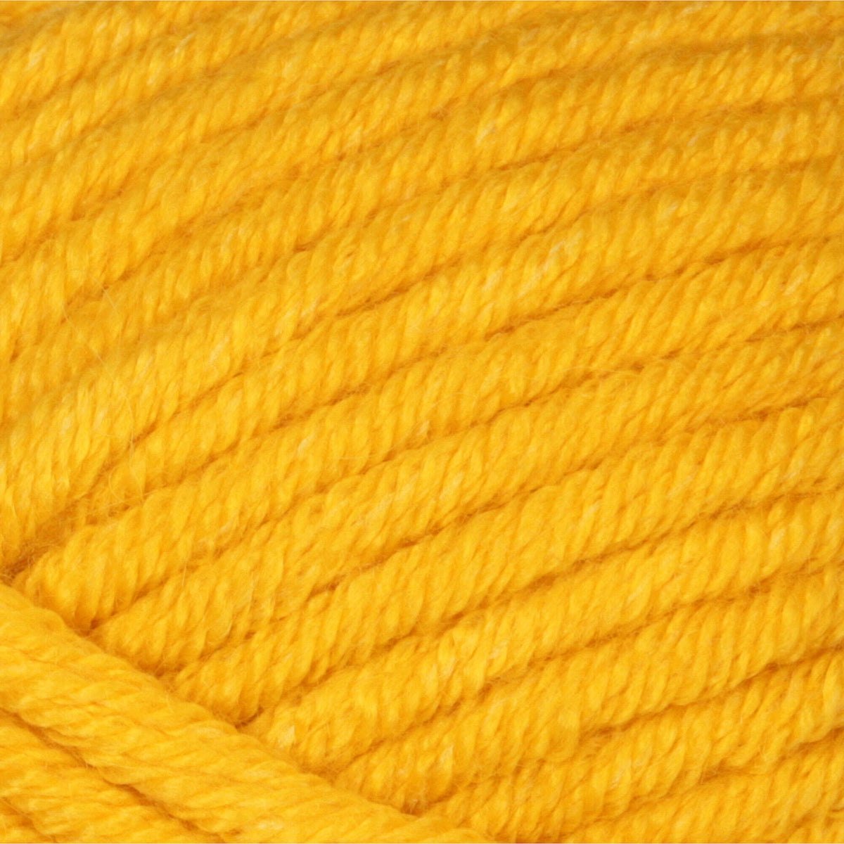 Sunflower Yellow