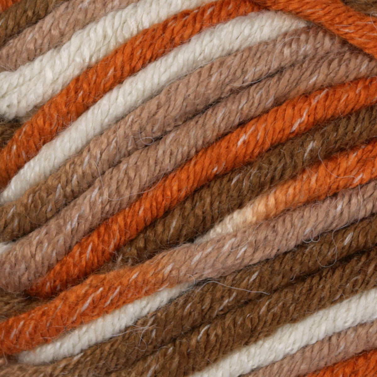 Sand Dune Variegate