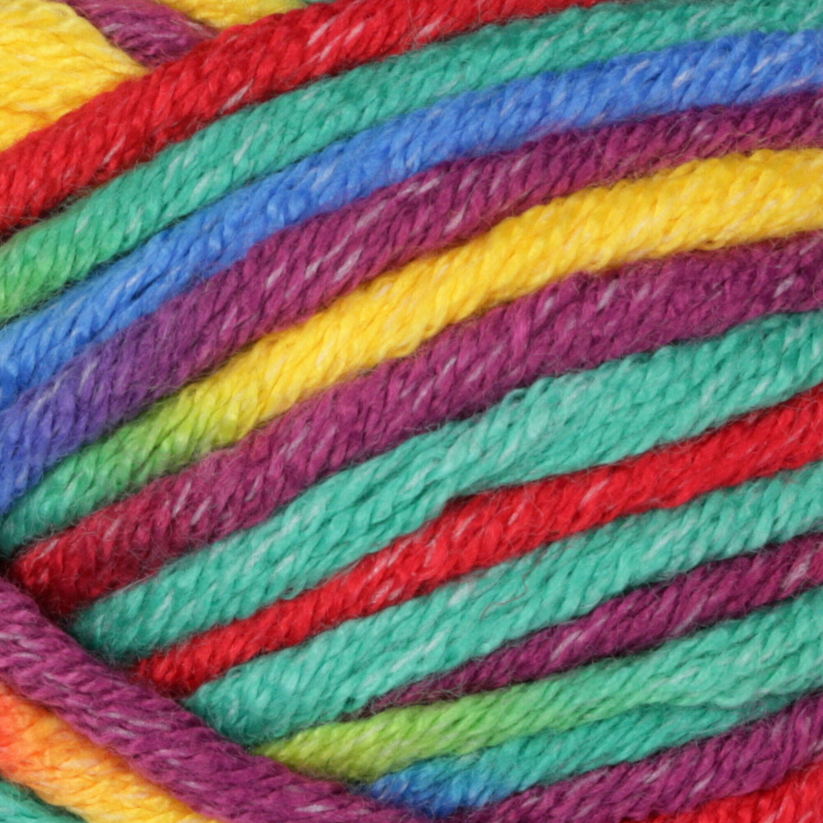 Rainbow Kid Variegate