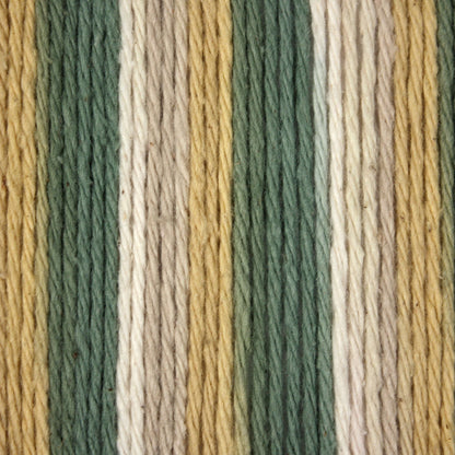 Bernat Handicrafter Cotton Variegates Yarn (340g/12oz) - Discontinued Country Sage Ombre