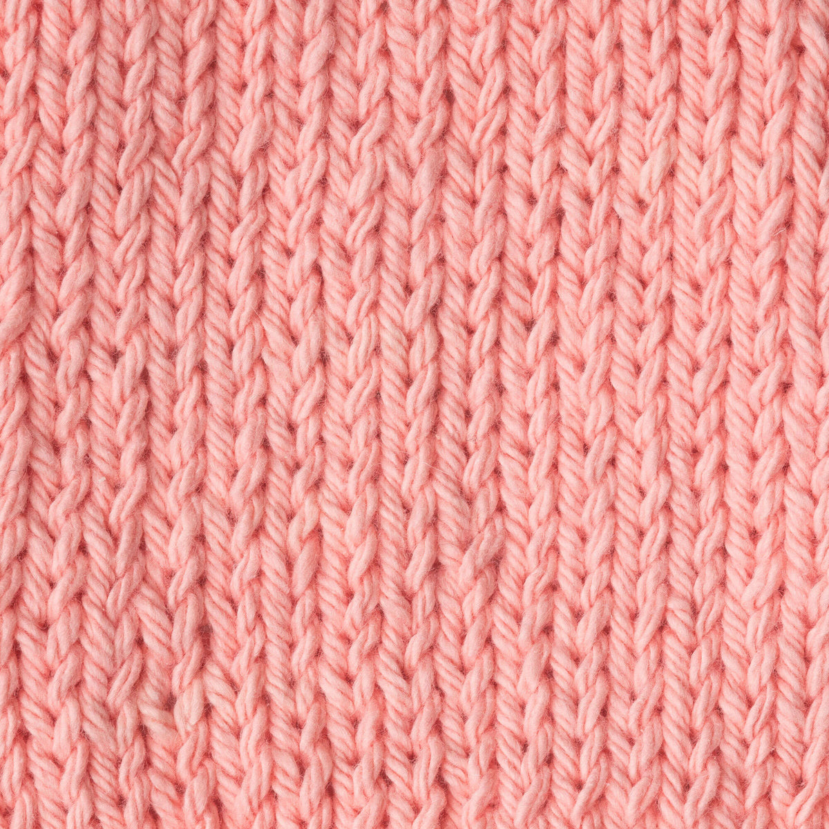 Coral Rose