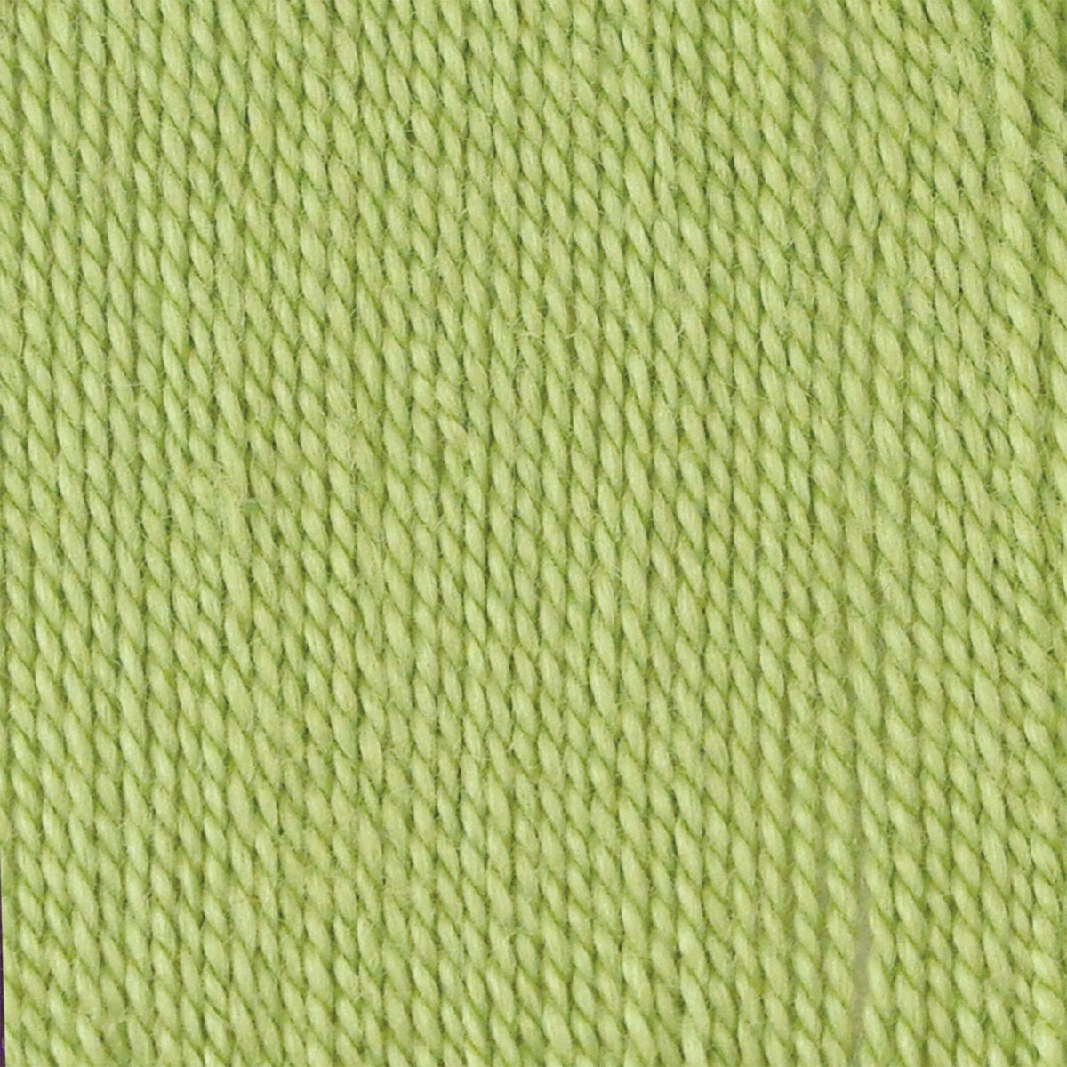 Fresh Fern