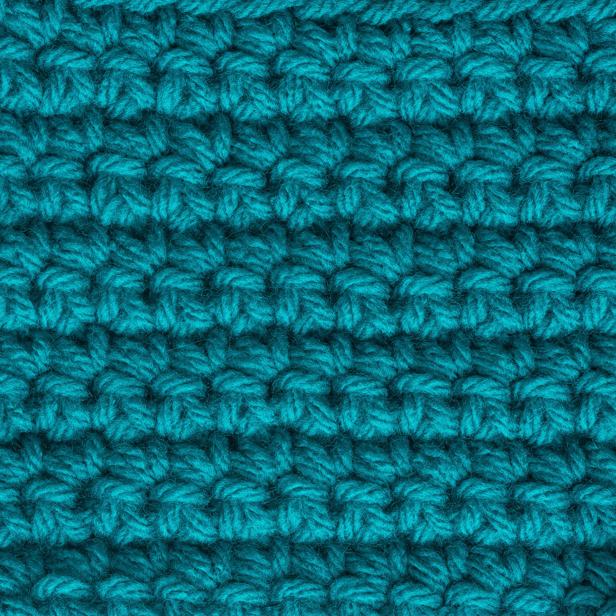 Bright Teal