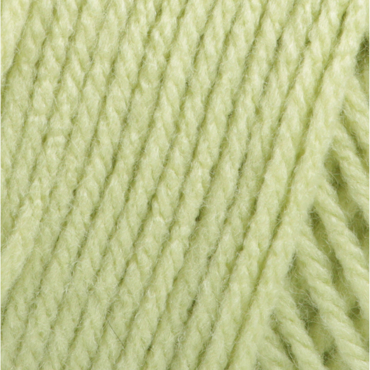 Soft Fern
