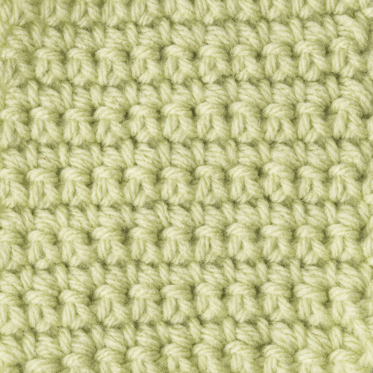 Soft Fern