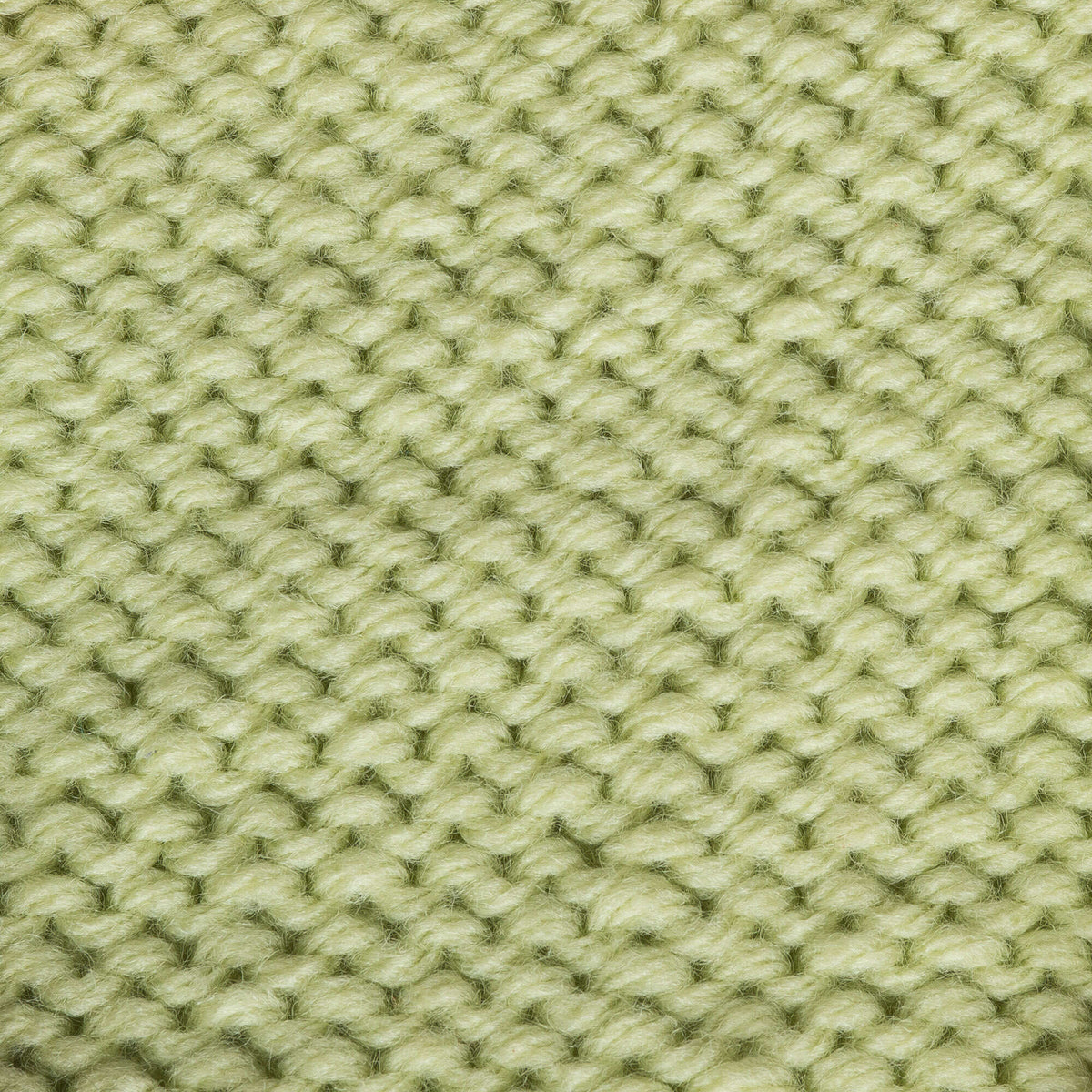 Soft Fern