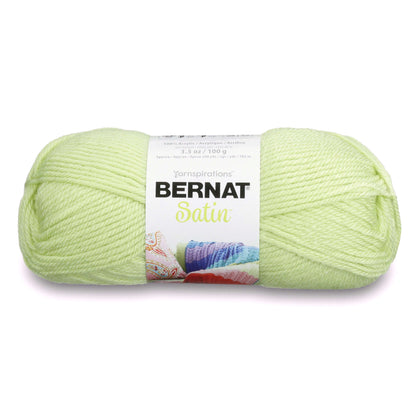 Bernat Satin Yarn - Discontinued Shades Soft Fern