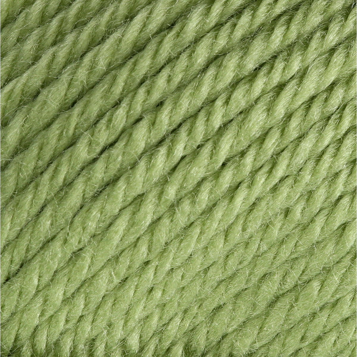 Fern