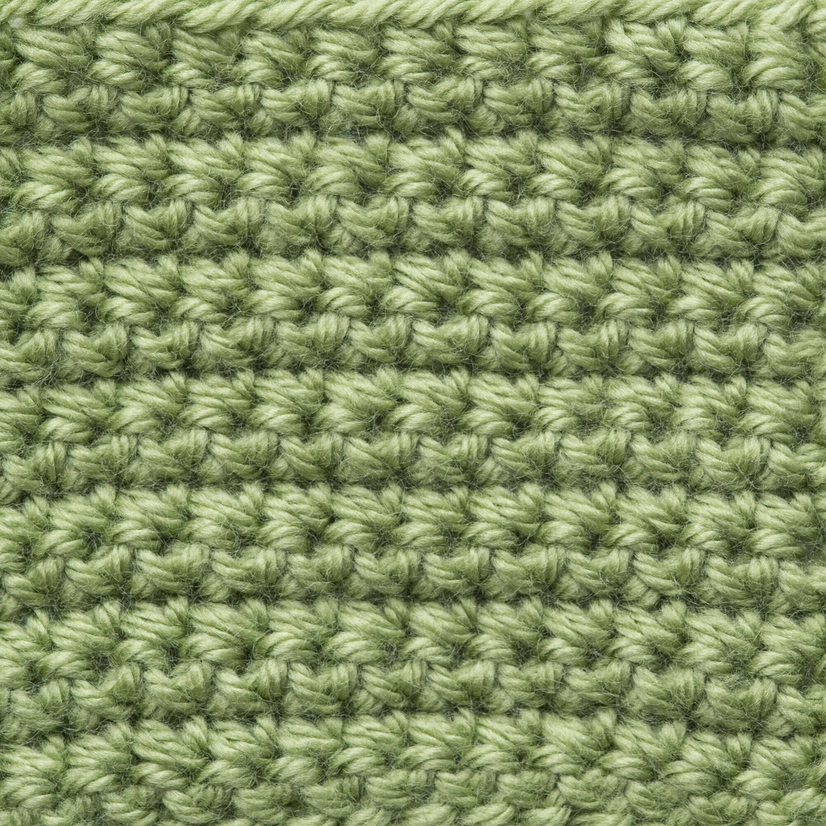 Fern