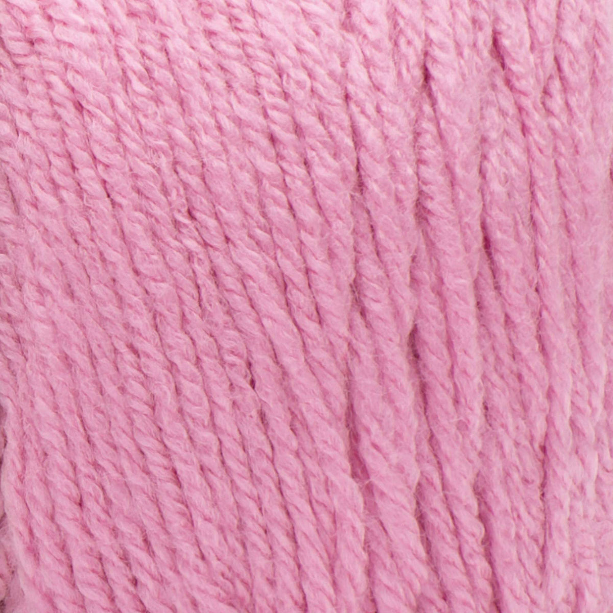 Pink Macaroon