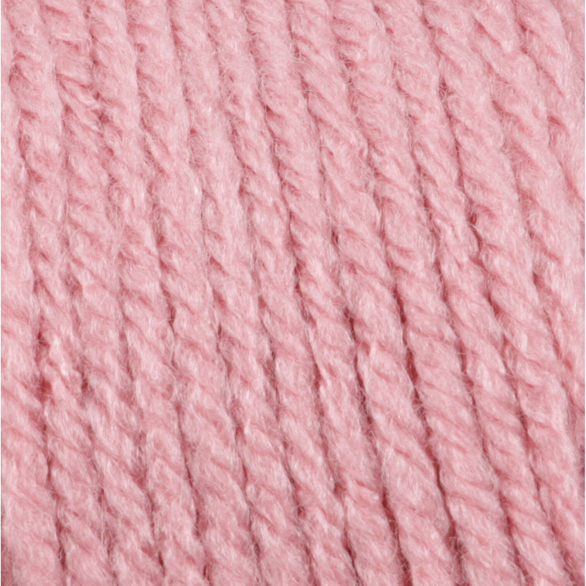 Warm Rose