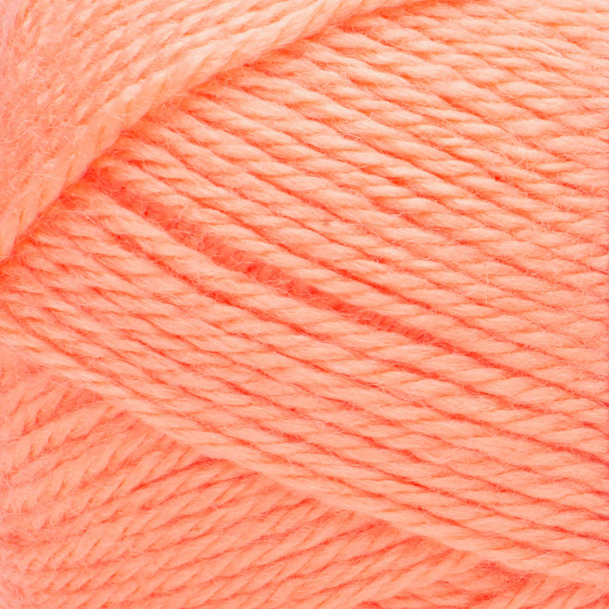 Cantaloupe