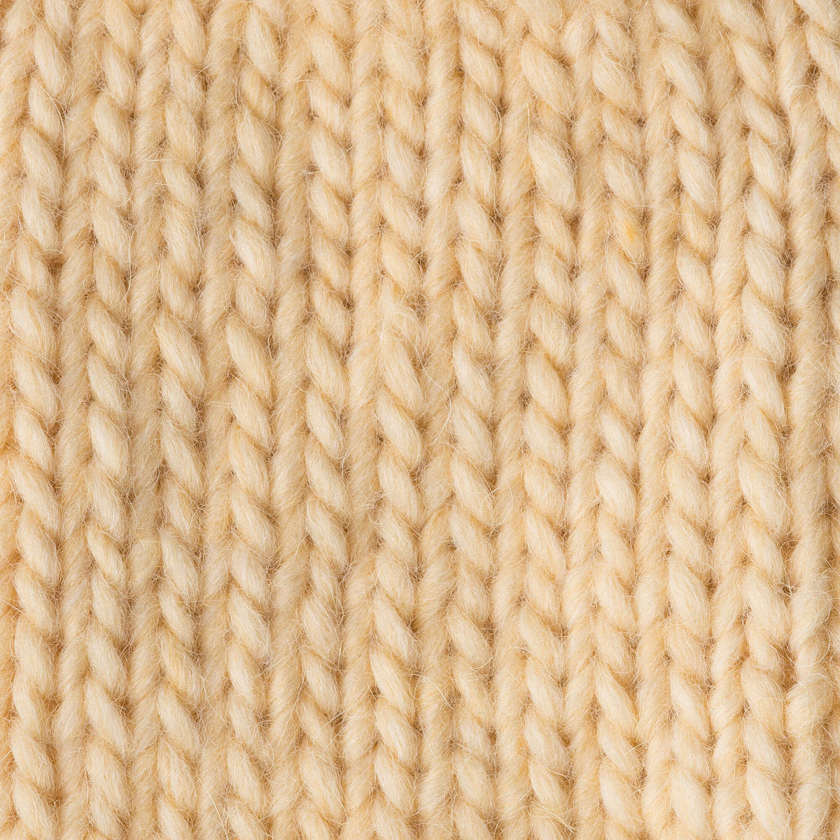 Maize