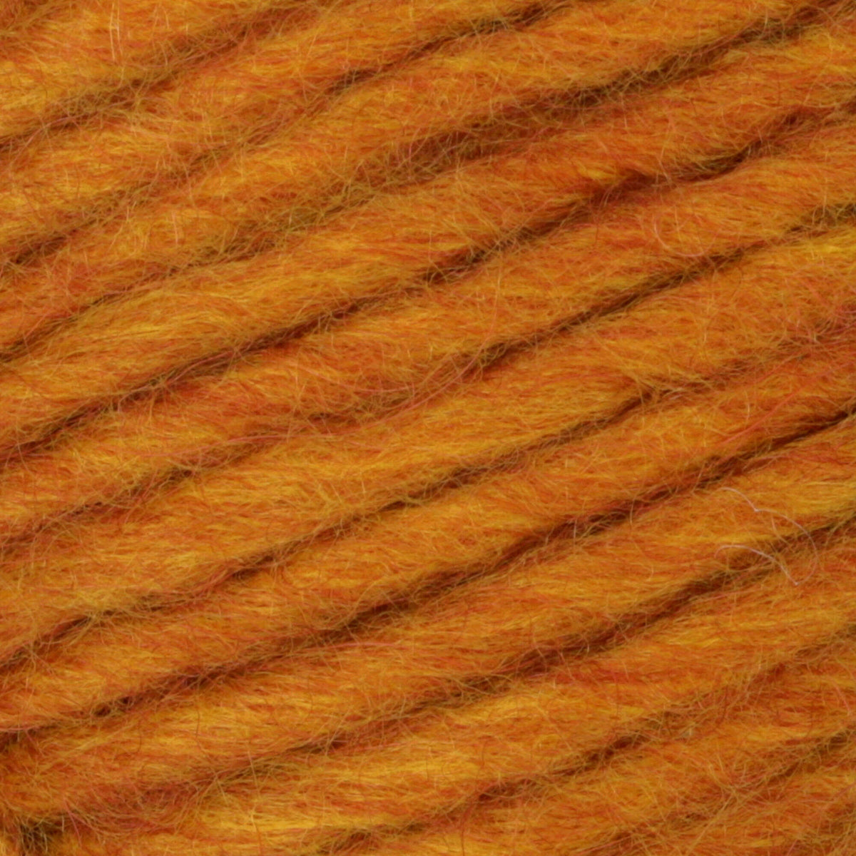 Butternut