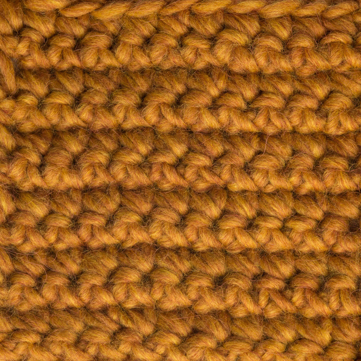 Butternut