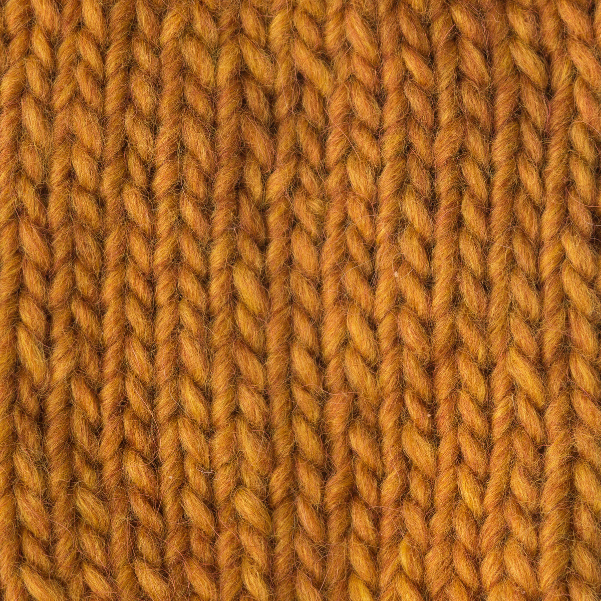 Butternut