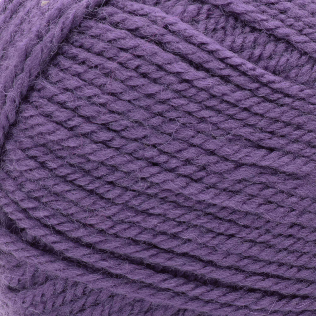 Violet Eggplant
