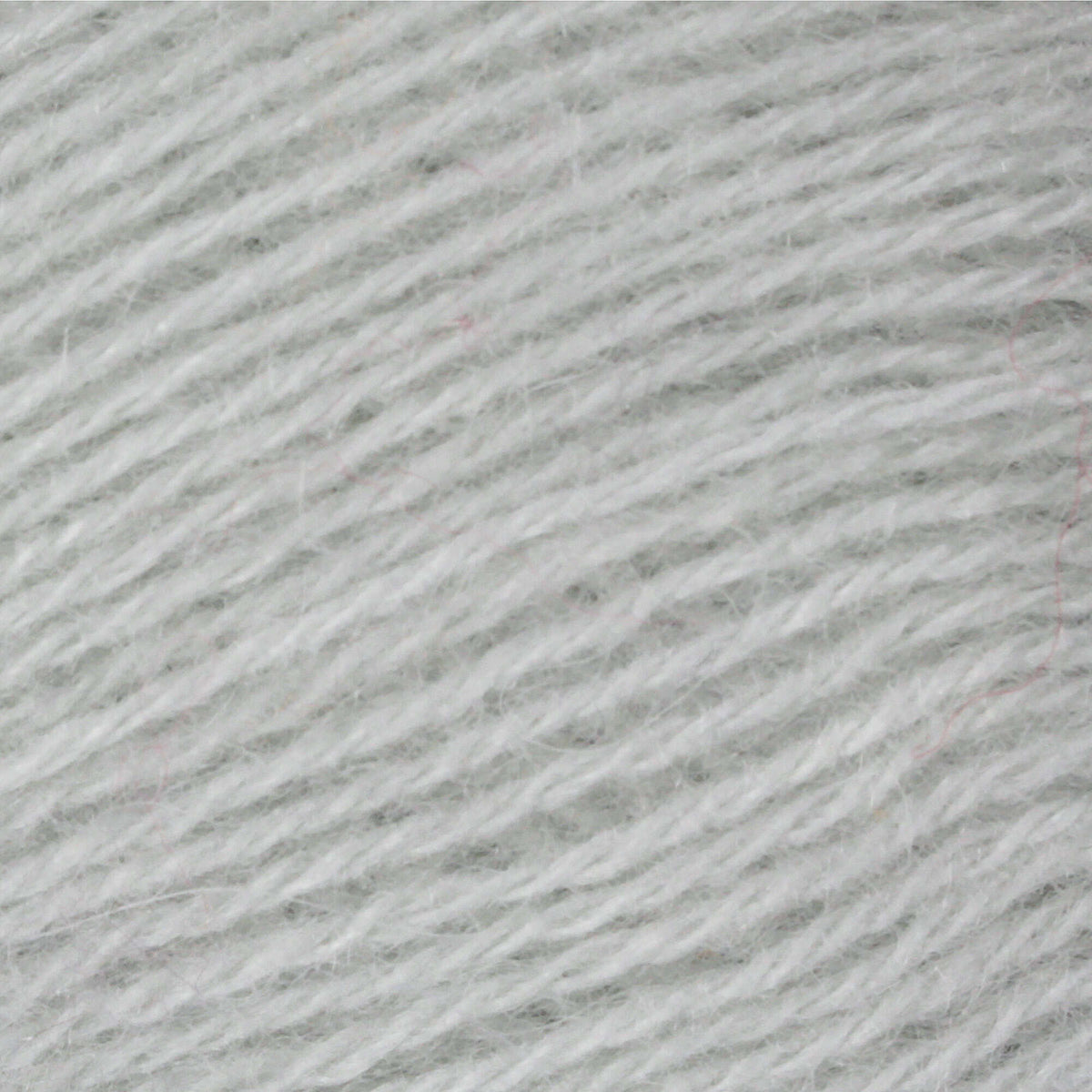 Dove Gray