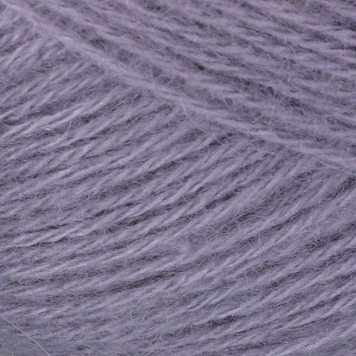 Arctic Plum