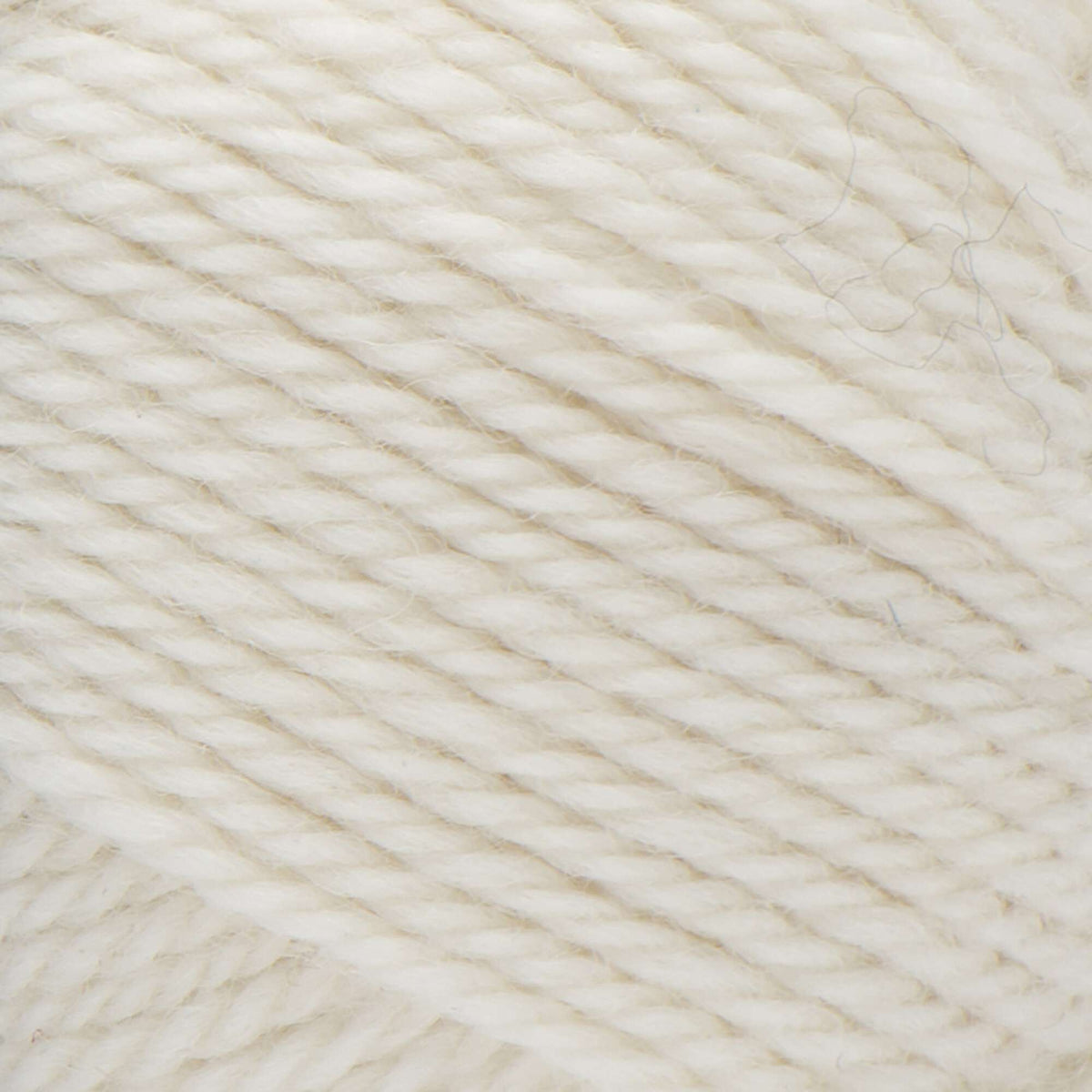 Winter White