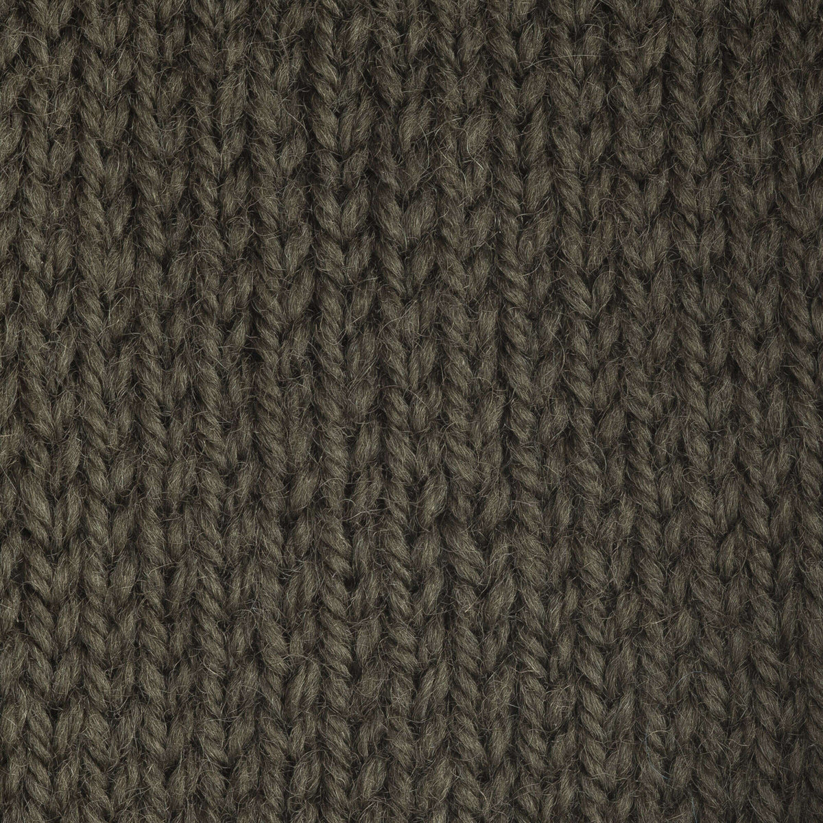Deep Olive