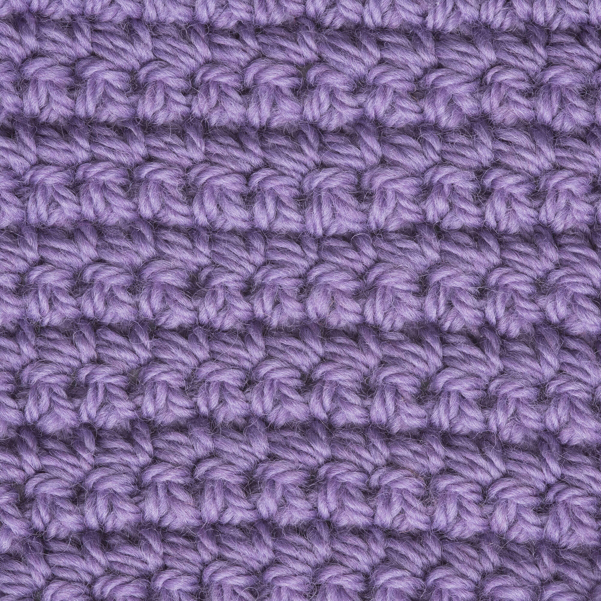 Wisteria