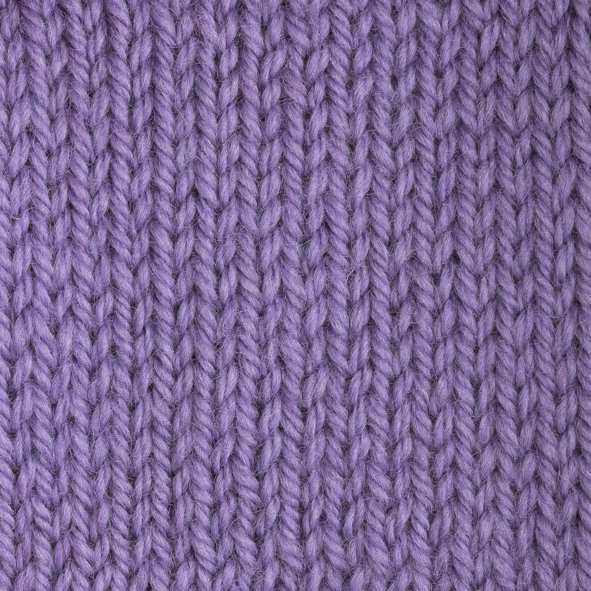 Wisteria