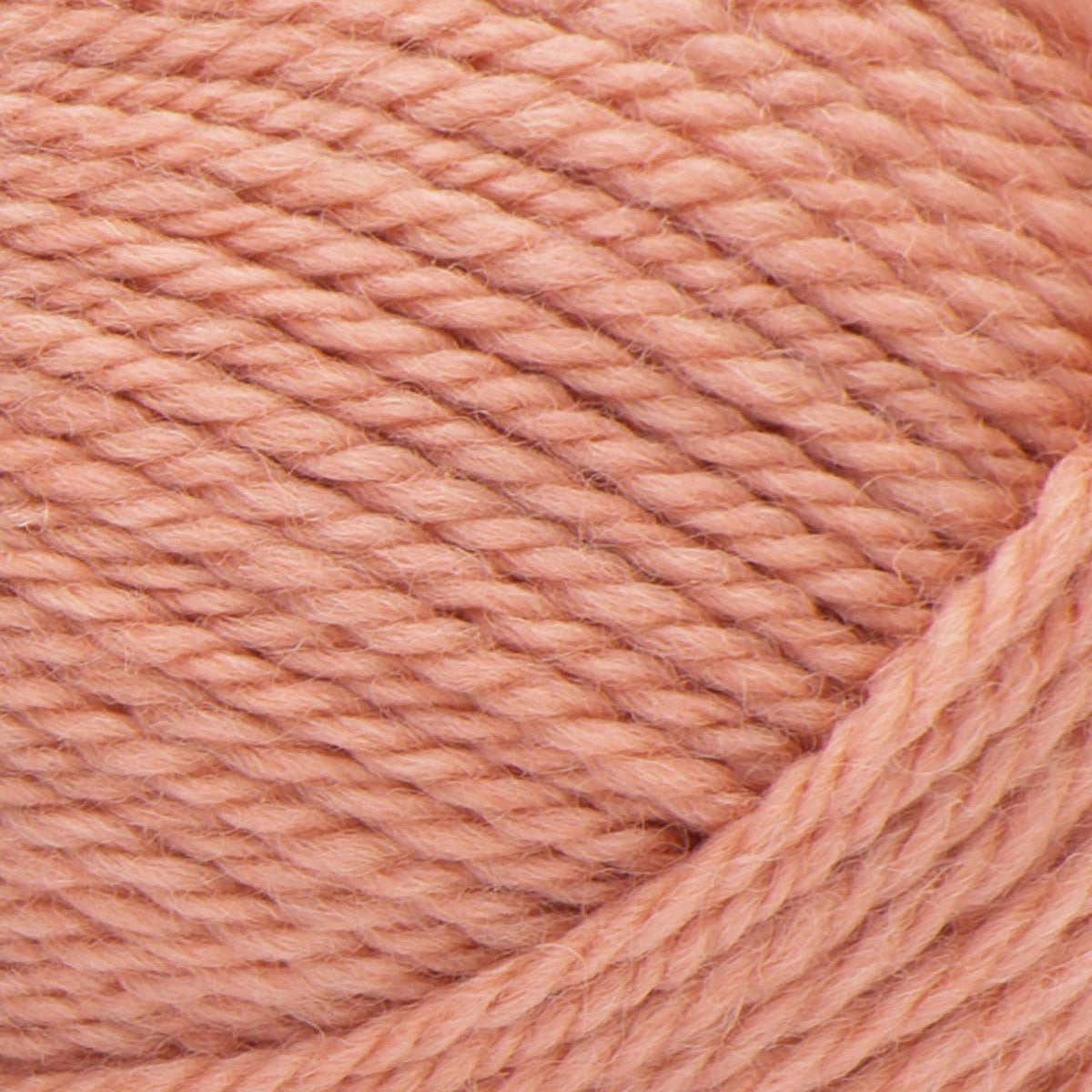 Coral Peach