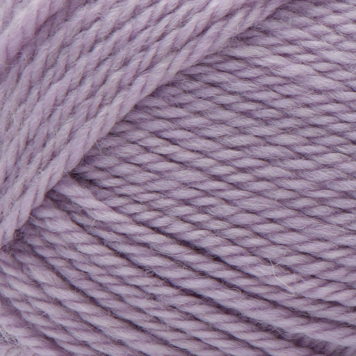 Soft Orchid