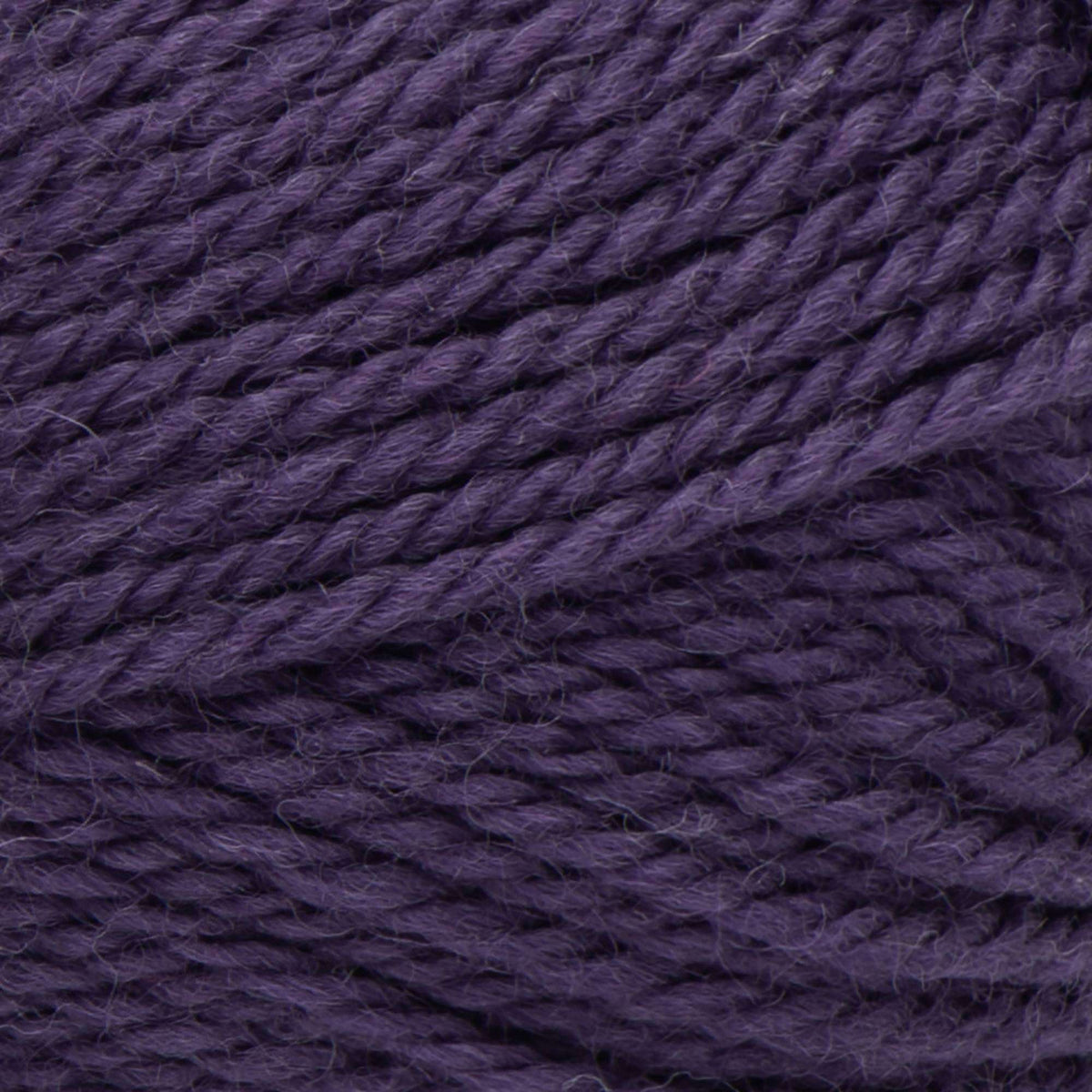 Purple Night