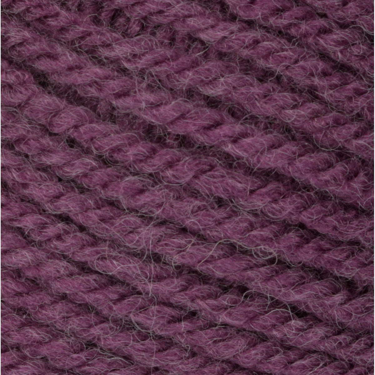 New Lilac