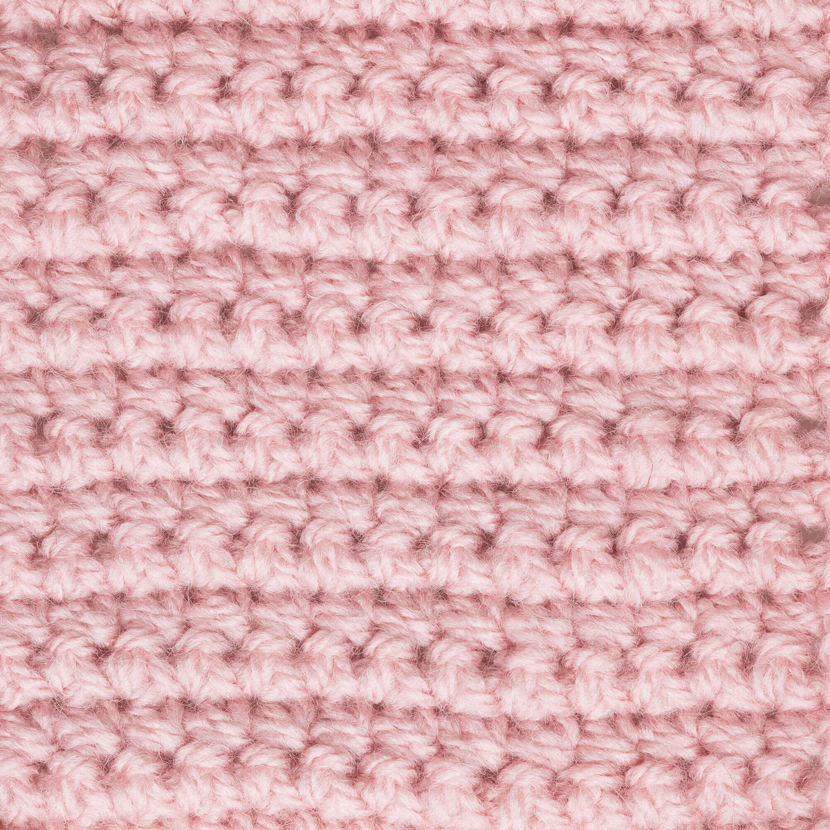 Pale Rose