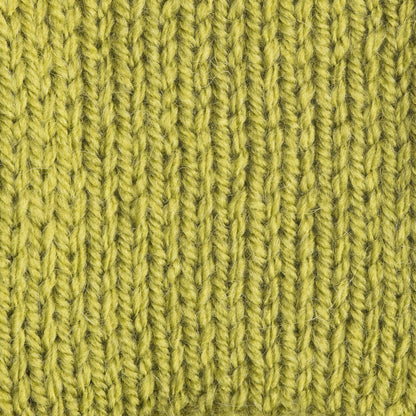 Patons Decor Yarn - Discontinued Shades Frond