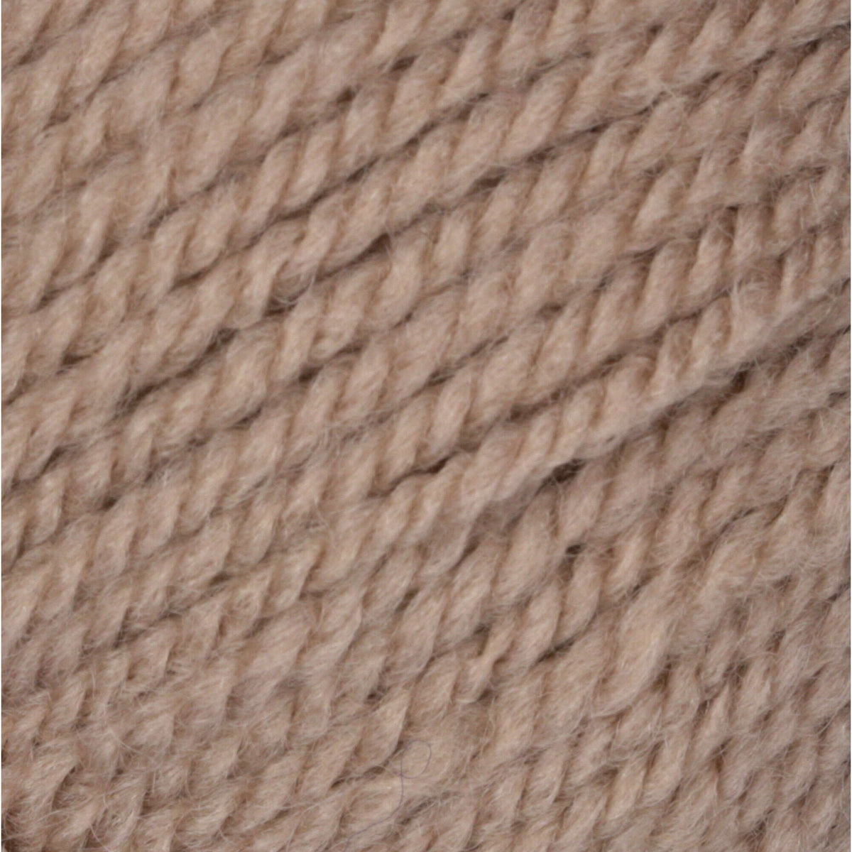 Toasty Gray