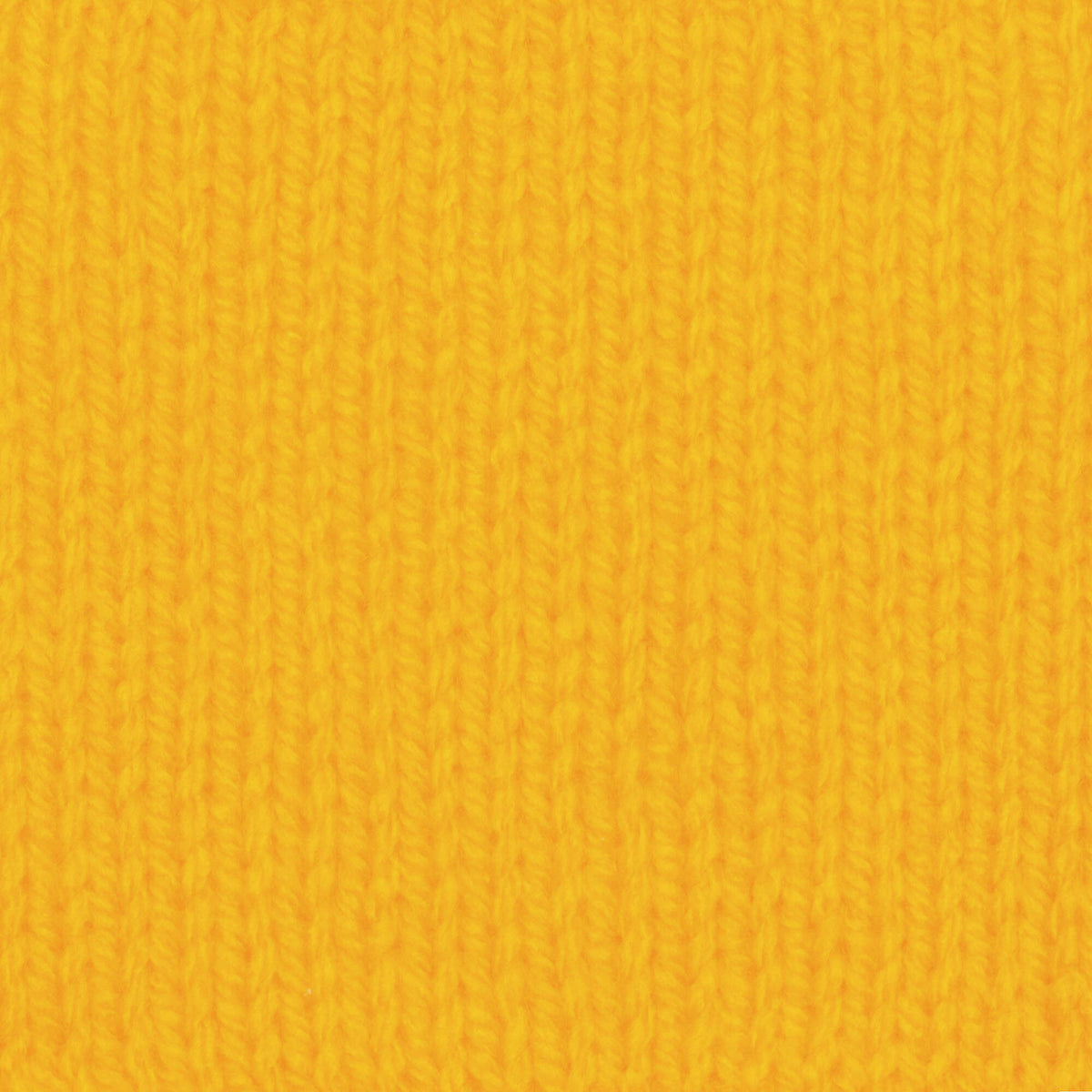 School Bus Yellow