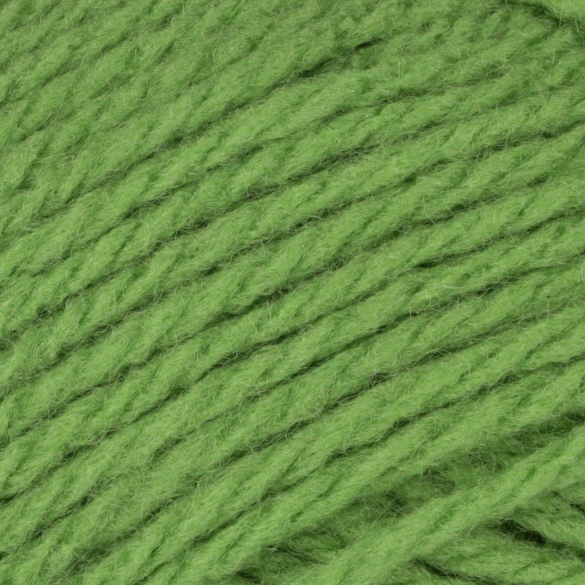 Sprout