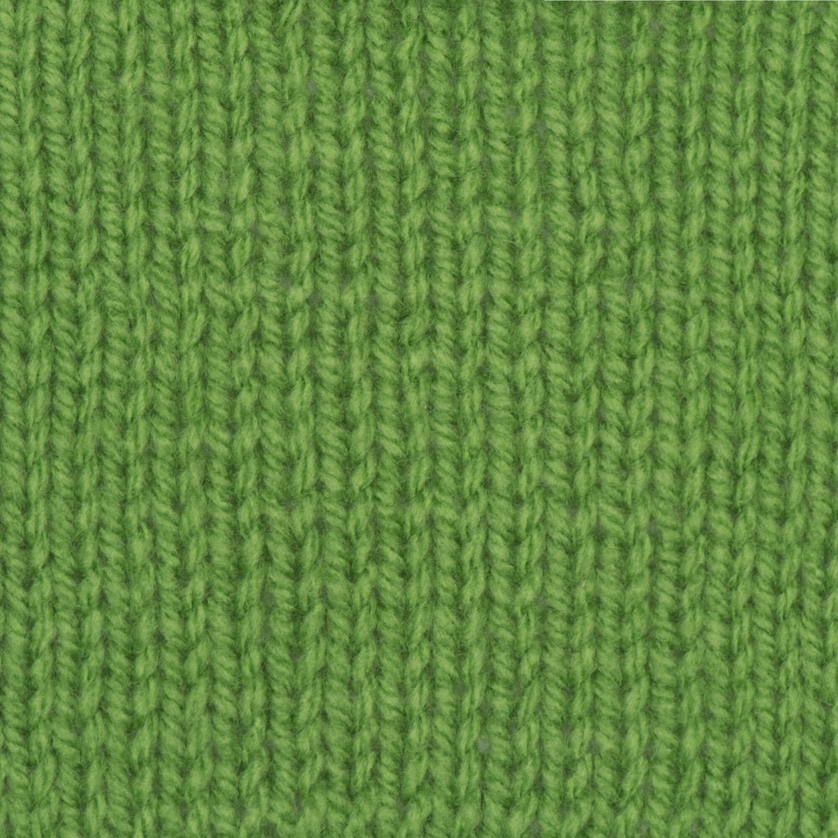 Sprout