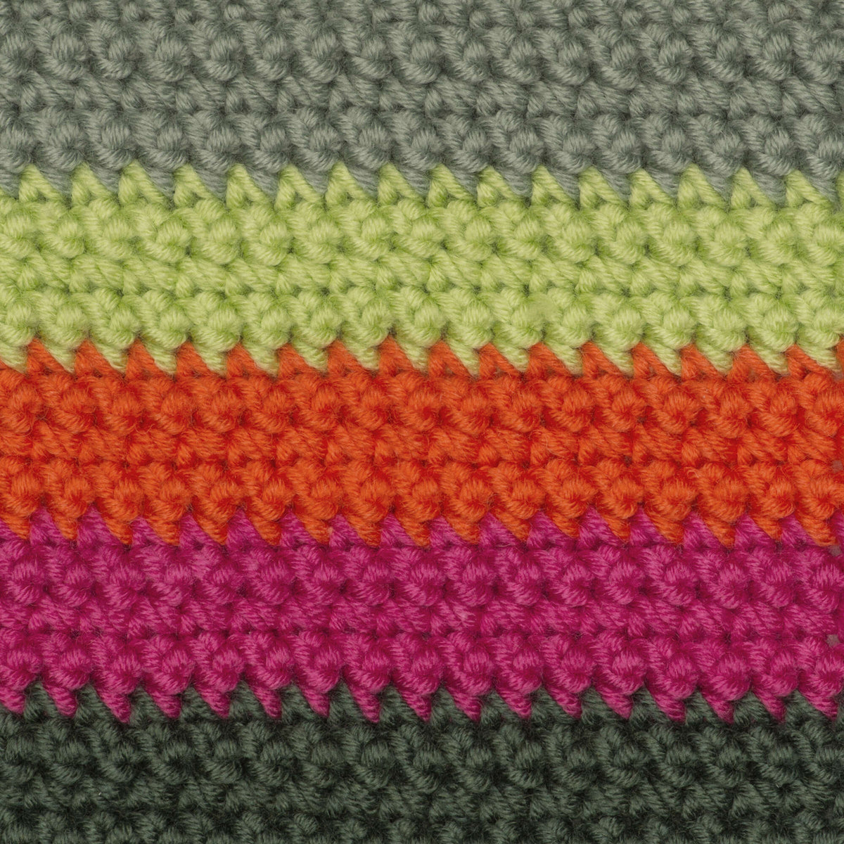 Fuchsia Foliage
