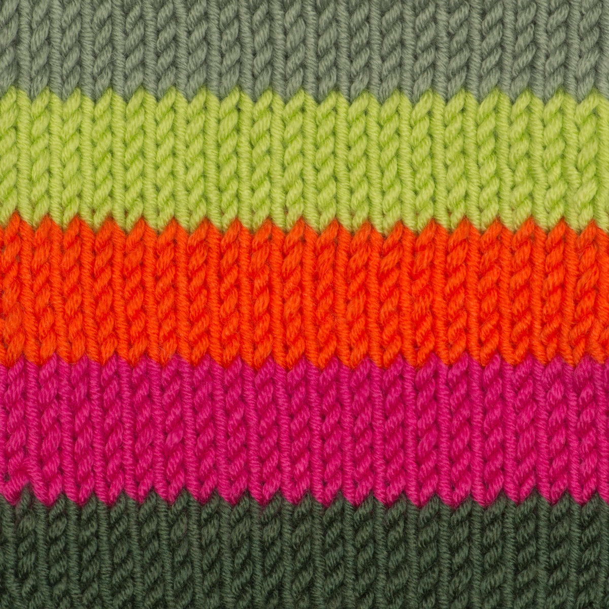 Fuchsia Foliage