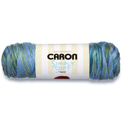 Caron Simply Soft Paints Yarn Spring Brook