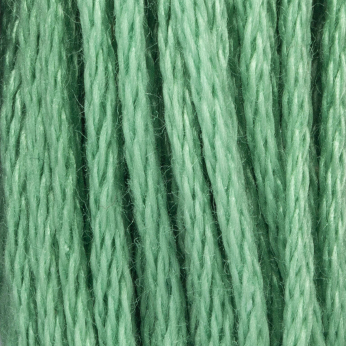 204