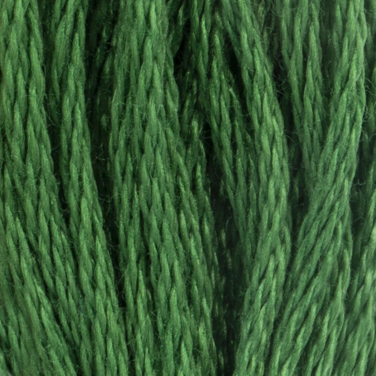 244
